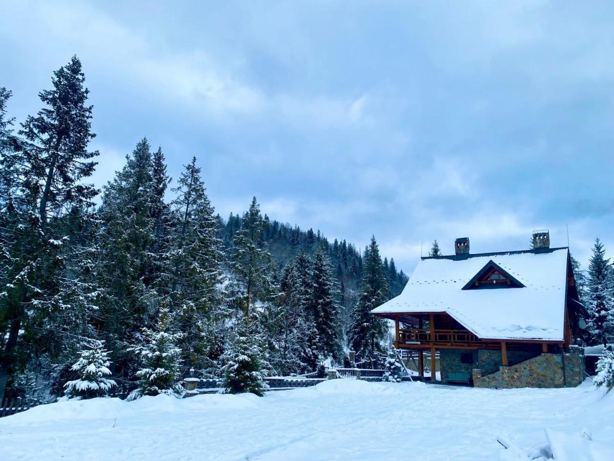 Villa Na Gori Slavske Esterno foto