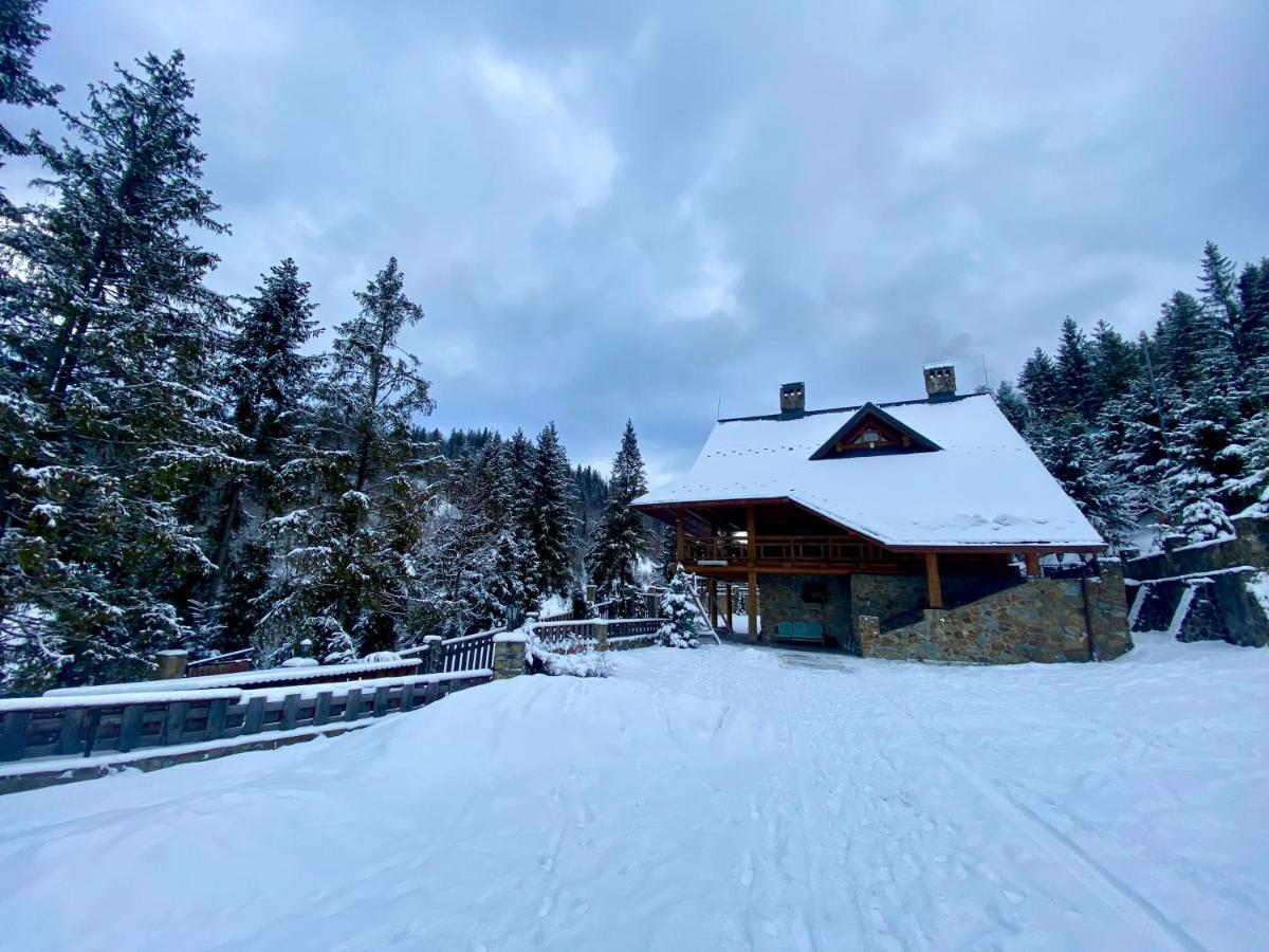 Villa Na Gori Slavske Esterno foto