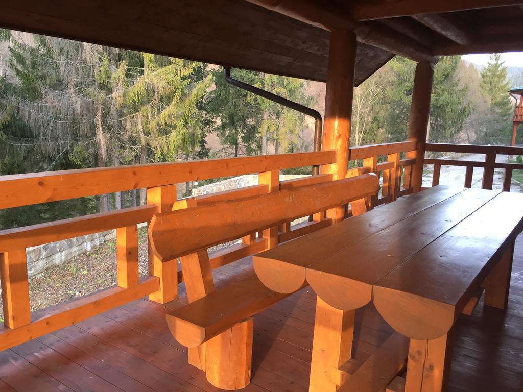 Villa Na Gori Slavske Esterno foto