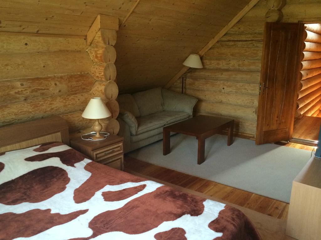 Villa Na Gori Slavske Camera foto
