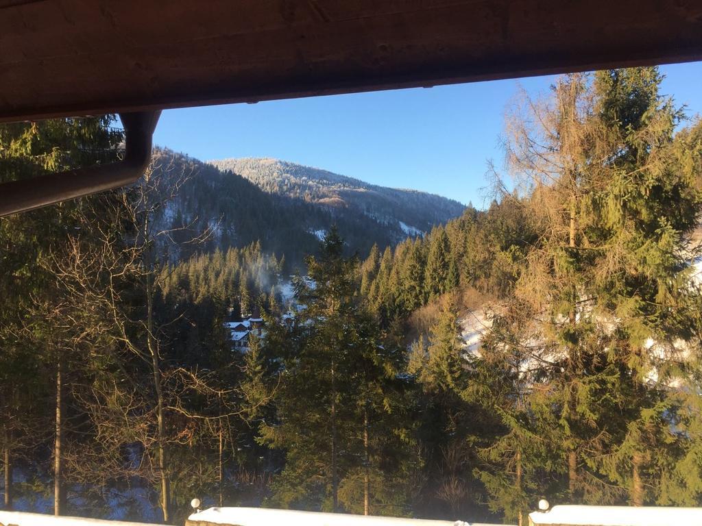 Villa Na Gori Slavske Esterno foto